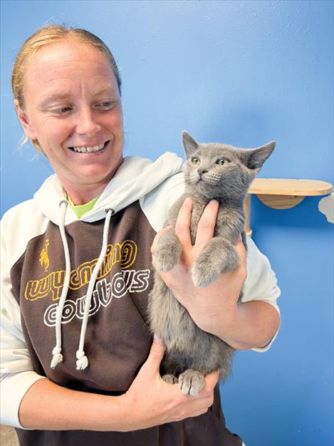 Shelter manager Raeva Corkill cuddles Graynger, a kitten that recently came into the Mission Valley Animal Shelter.