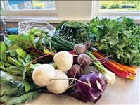 Fall vegetable boxes available