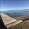 dock of the bay