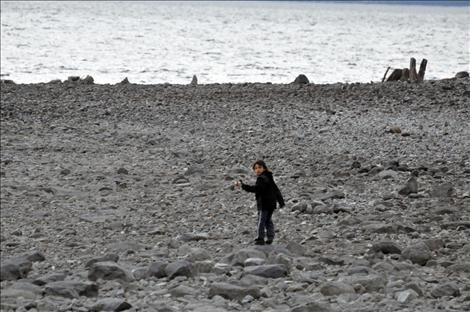 Masada Buffalo makes his way across the rocky beach at Blue Bay.