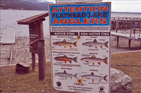 Know your fish: a sign at Blue Bay helps angler identify what a lake trout looks like.