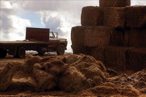 After a long winter, stacks of hay bales are much smaller.