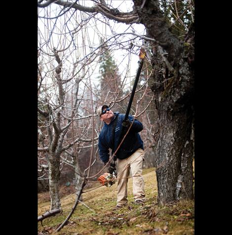 Billy Joe Norm prunes his trees in preparation for spring.