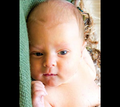 Zane David Avison