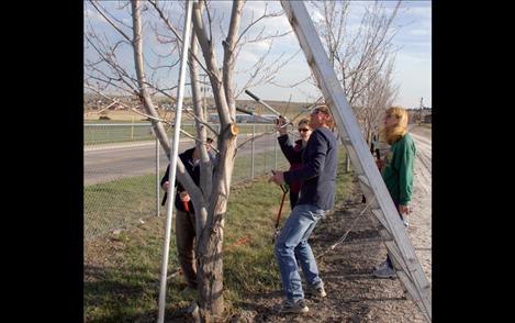Master gardeners Jean and Jon Gravning take a look at a tree to see where it might need pruning