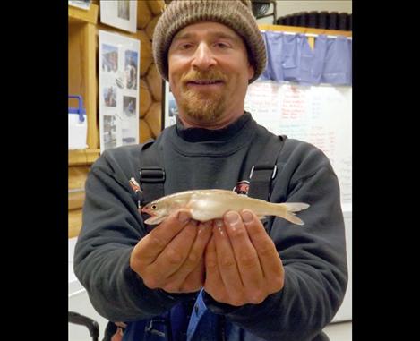 Jason Mahlen of Kalispell is the current leader with 1,058 entries and a small lake trout entry of 7.5 inches