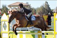 Student recruited to New Mexico State University equestrian team