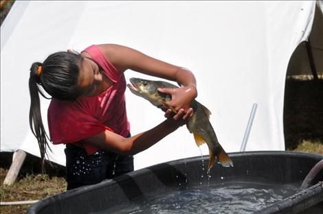 Ronan student Tyneal Fleammond studies a fish. 