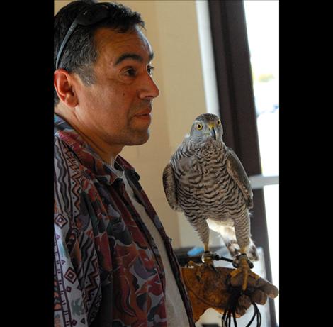 Carlos Rodriques holds Sweetie Pie, the goshawk he uses for hunting. Sweetie Pie was raised in captivity.