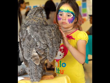 A young owl enthusiast gently touches a stuffed owl’s feathers at the Community Bird Festival.