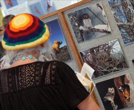 Linda Pulse looks at an assortment of owl pictures at the Community  Bird Festival