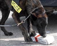 Police dog delights kids, finds illegal substances