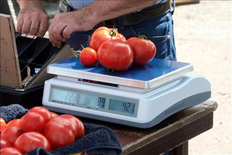 David Wolverton brought his early tomato yield to the market and went home early after selling out.