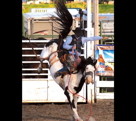 Cody Miller, Dillon, rides a black and white paint bronc from the Big Circle Rodeo Company and scored a 52 on the ride. 