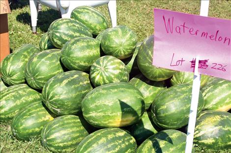 A load of watermelons were included in auction items.