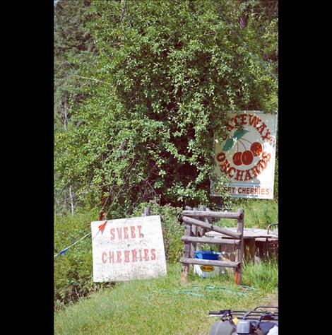 Barbara Kaye sells her cherry crop at Gateway Orchards on Hwy. 35, where her 80-year-old trees are still producing.