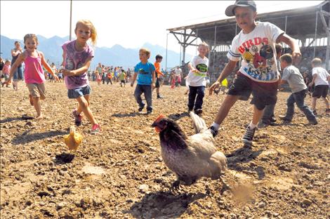 Scores of youngsters sprint toward frantic chickens during the Kiddie/City Slicker Rodeo on Saturday. If caught, the chicken went home with the child.