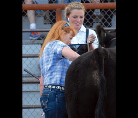 Virginia Kneer checks a steer.