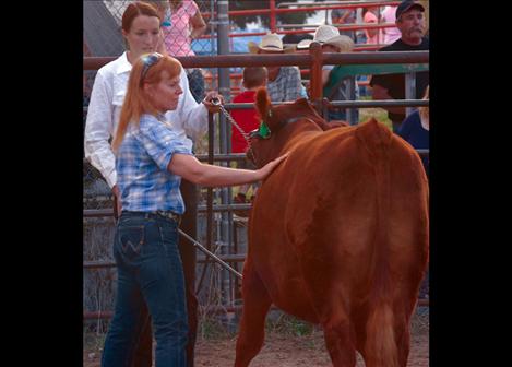 Virginia Knerr checks  Skyler Frame’s steer in the market beef competition at the Lake County Fair. 