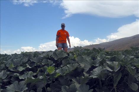 Cassie Silvernale, co-owner of Dixon Melons, Inc., stands among a field of melons.