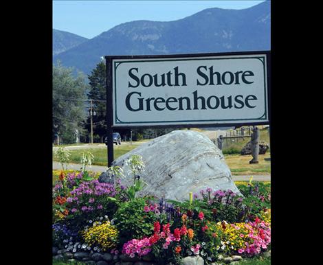The flowers and plants surrounding South Shore Greenhouse's sign welcome people to the business.