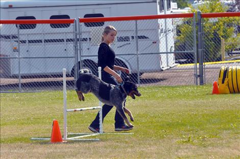 Aayal Love and Wyatt compete at the fair.