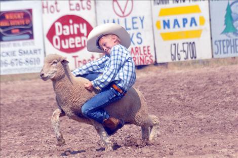 Liam Wills ride a wooly beast at the fair.