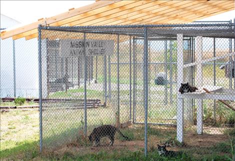 A new outdoor cat shelter was recently cosntructed with donated funds.