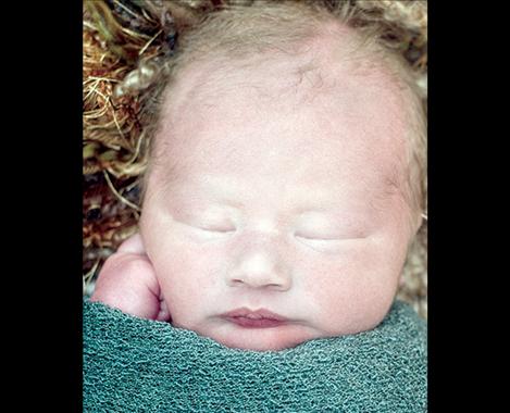 Augustus Stalkfleet