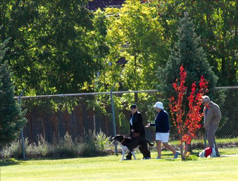 Liz King walks Earl while Kendyl and Tom Timlick follow with Sailor at the 2014 Doggy Dash.