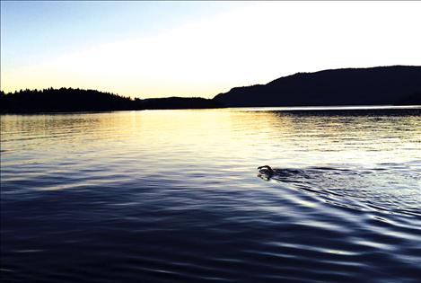 Emily Von Jentzen swims in the dusk on Flathead Lake on her way to 24 hours in the water.