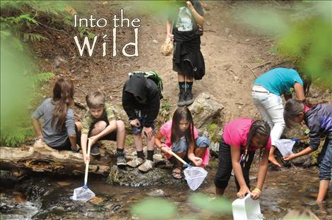  Second graders search for aquatic life in a mountain creek. 