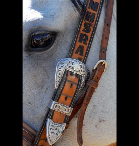 A gray horse sports a headstall with silver accents that he and his owner won