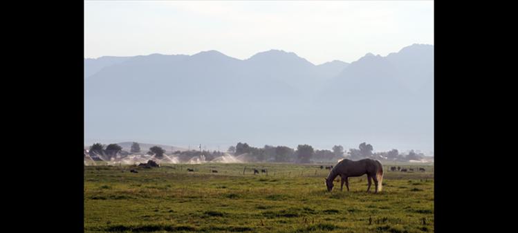 Sunrise scene, Crow Dam Road