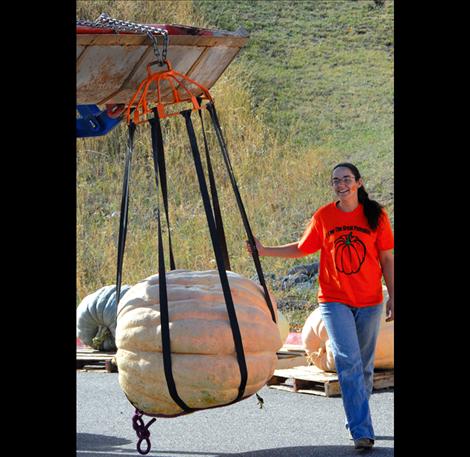 Jamie Dennis steadies a giant pumpkin on the way to the scale. 
