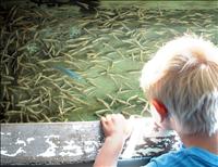 Students tour busy Arlee fish hatchery