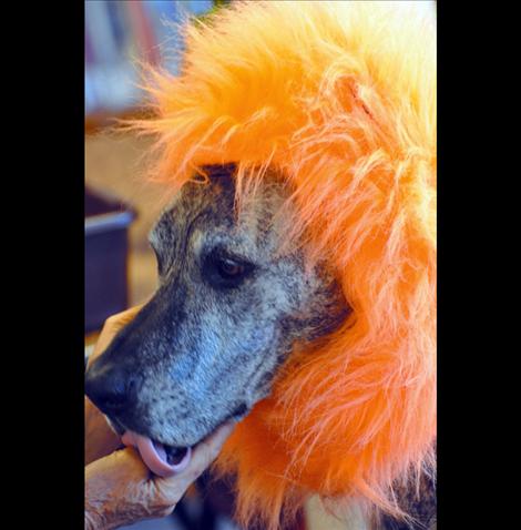 Library Lion Sadee gives kisses to her owner Andrea Dunn during story time at Ronan Library.