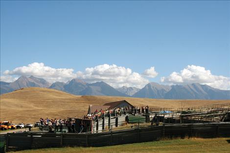 Schoolchildren gather to watch the annual National Bison Range roundup.