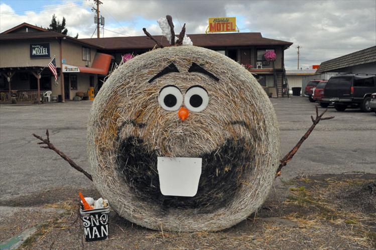 The results of the Ronan Harvest Festival Hay Bale Contest are as follows:  1st place- Ronan Pierce Dodge, Hay-teen Wheeler, 2nd place- Lynn’s Drive-In, Hamburger, 3rd place- Starlite Hotell, Olaf Western Montana Mental Health and Holly Finley for Ronan Flower Mill/Harvest Fest tied in the scarecrow contest. Ronan Harvest Fest organizer Ronna Walchuk thanked everyone for making this year’s Harvest Fest great. 