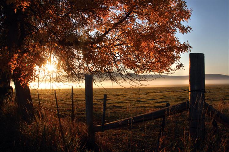 Misty autumn morning