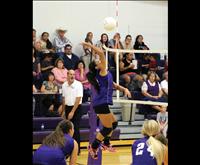 Charlo takes crown at volleyball District Tourney