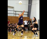 Volleyball Divisional Smackdown