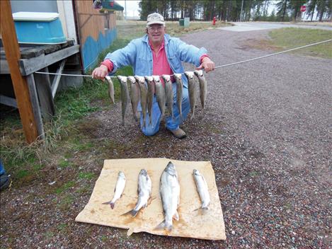 Macman Dick Zimmer displays a string of fish he caught on Flathead Lake.