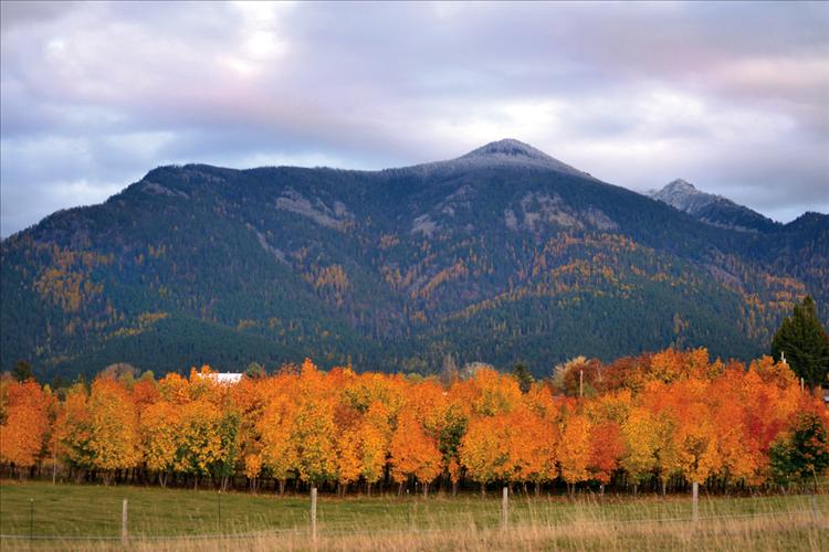 North Foothills colors