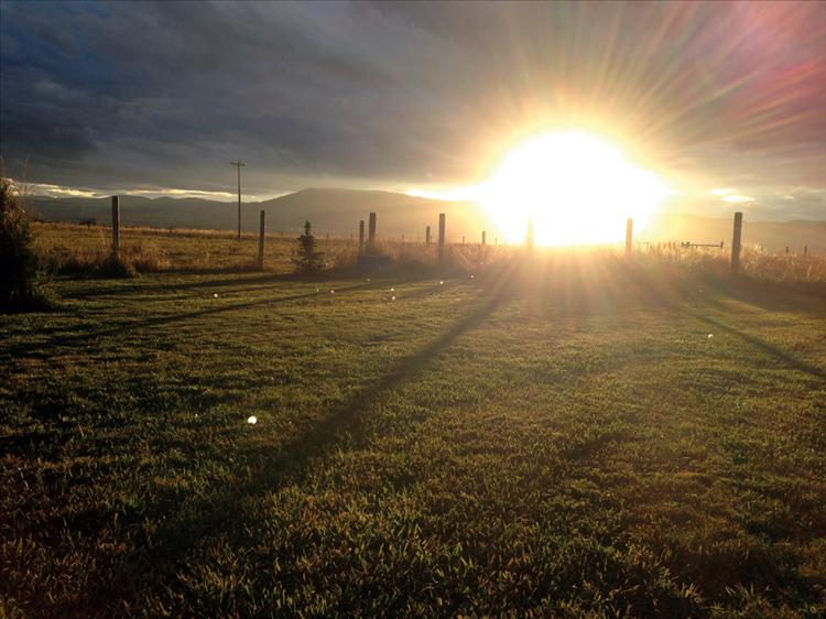 Brilliant light illuminates a Valley View yard as the sun sets.