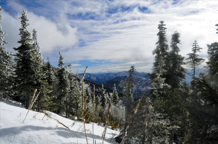 Fluffy white snow covers the ground and trees in the Jewel Basin.