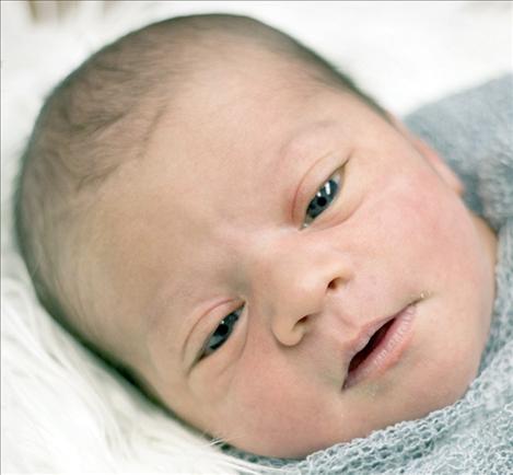 Zanen  Michel-Flagen