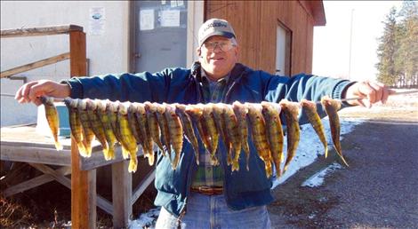 Perch from East Bay