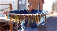 Perch biting while ice fishing East Bay