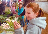 Invasive species threaten Mission Valley